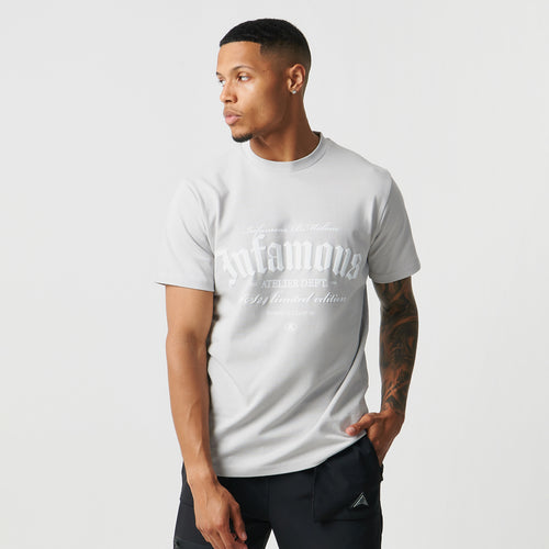 Infamous Stacked T-Shirt Ice Grey