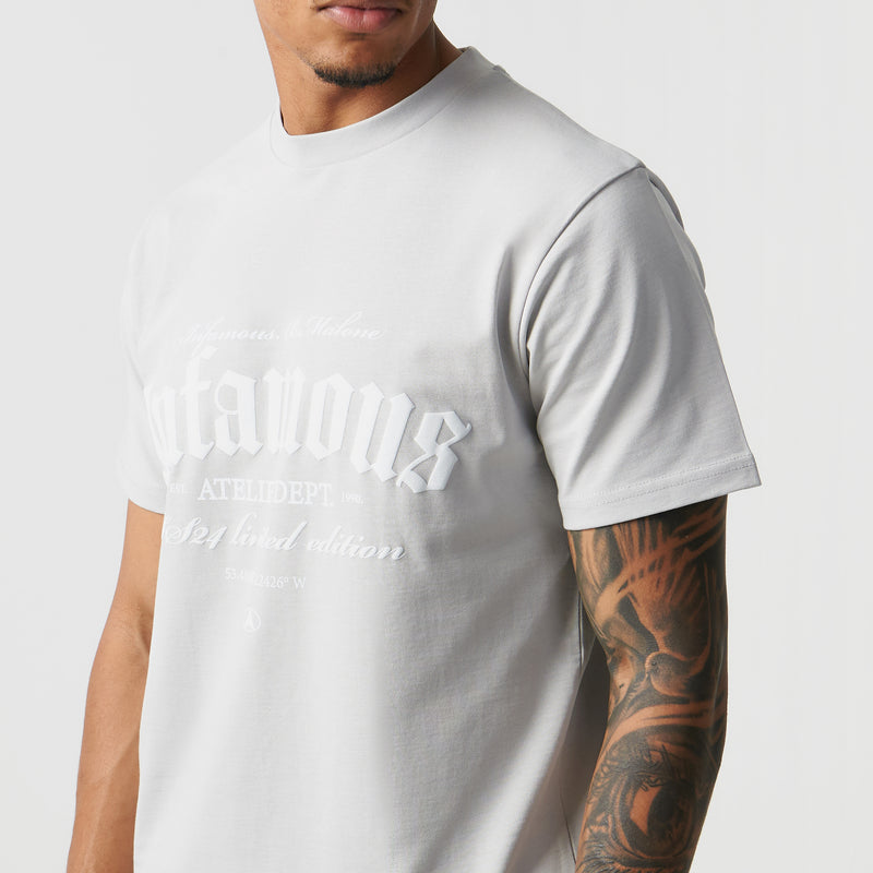 Infamous Stacked T-Shirt Ice Grey