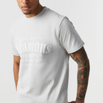 Infamous Stacked T-Shirt Ice Grey