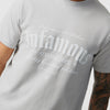 Infamous Stacked T-Shirt Ice Grey